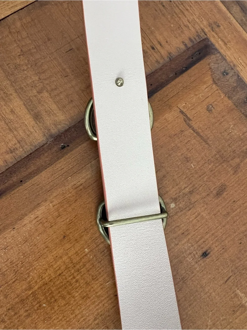 Auxiliary Terracotta Leather Waist Belt with Gold Horsebit -NWOT